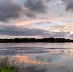 Meet your Posher, Bridget